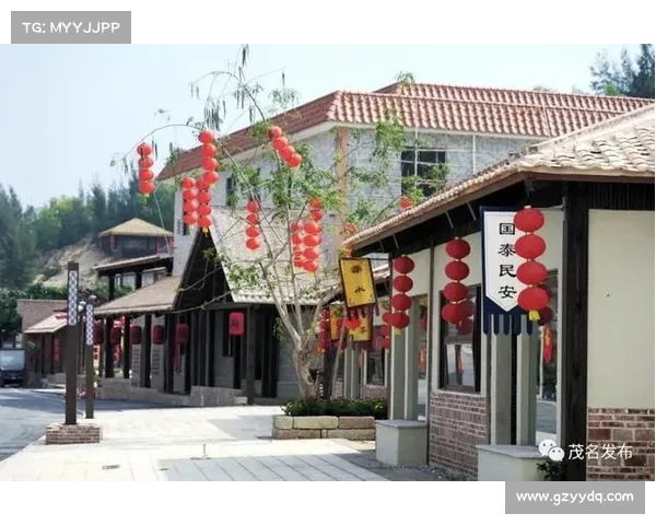 河南公共频道:聚焦本土文化传承与社会热点,打造特色传媒平台 河南公共频道:聚焦本土文化传承与社会热点,打造特色传媒平台